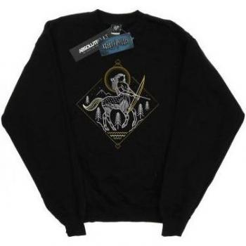 Männer-Sweatshirt „Zentaurenszene“