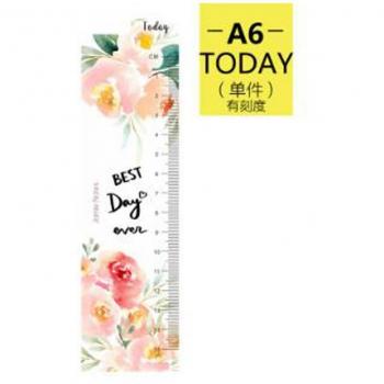Dokibook A5/A6 Frosted Weekly and Monthly Planner with Ruler