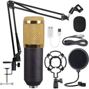 BlackGold Elite Mesh Condenser Mic – Large Diaphragm, KTV & Studio Package