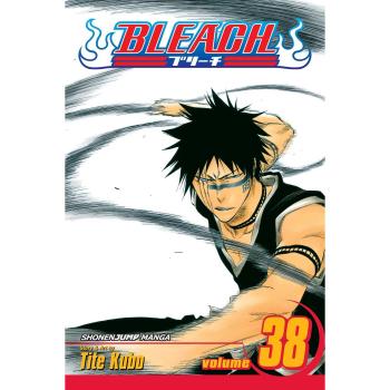 Bleach, Vol. 38