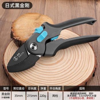 Pruning Shears for Bonsai