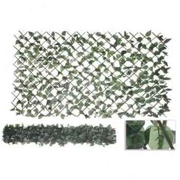 Celosia Verde Intensa “Privacidad Floral” – 100x120 cm