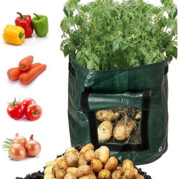 Maceta Taro y Zanahoria Eco