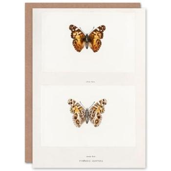 Artery8 Sherman Denton Vintage Butterfly Card – White