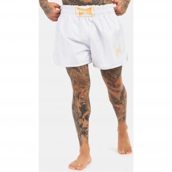 Thai-Boxhandschuhe Tapout Zorrey – Männer, Größe XXL