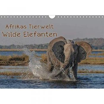 Afrikas Tierwelt