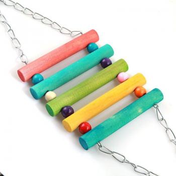 Parakeet Swing Toy