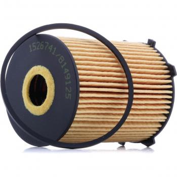 RIDEX Filtro olio motore 7O0013