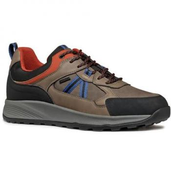 Baskets Geox Basse Terre ABX Marron 40