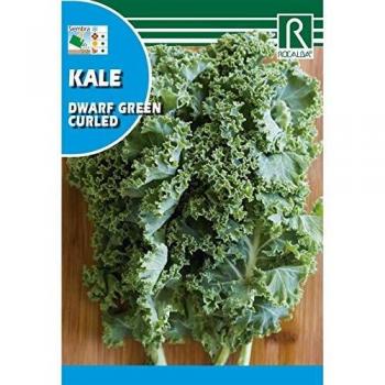 Chou frisé nain vert 6g