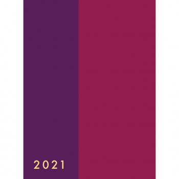 Daily Planner 2021 for Women 8.5 x 11