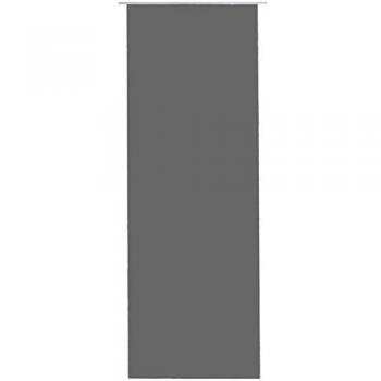 BESTLIVINGS Schiebegardine blickdicht 60cm x 245cm, anthrazit