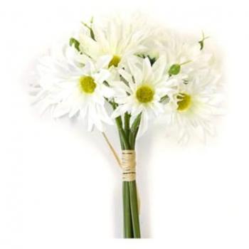 Pack Marguerite Blanche 18x24 cm