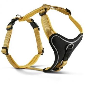Comfort Taglia 27-32 cm giallo curry Wolters – Imbracatura con Collare e Guinzaglio