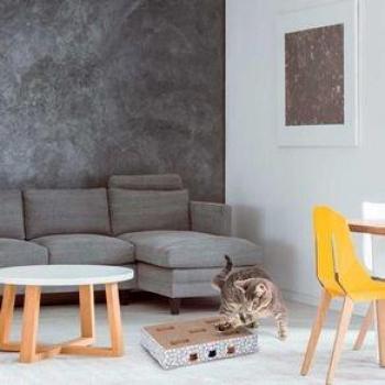 Supporto per Unghie Gatto in Cartone