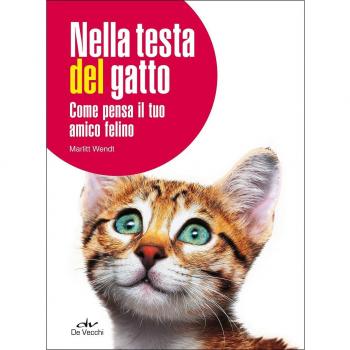 Nella testa del gatto. Come pensa il tuo amico felino