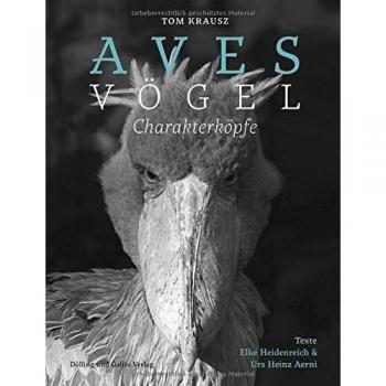 Aves | Vögel. Charakterköpfe