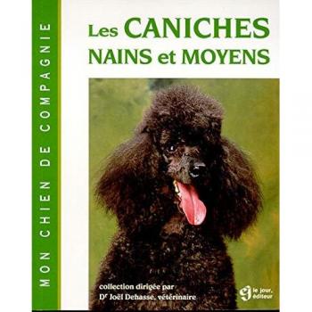 CANICHES NAINS ET MOYENS