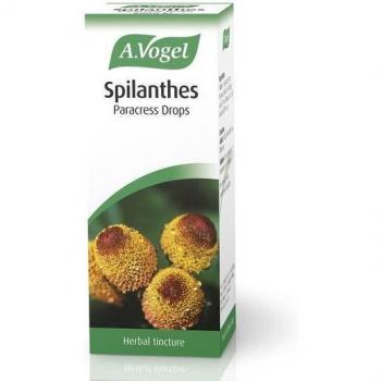 A. Vogel Spilanthes Tincture 50ml