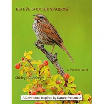 His Eye Is on the Sparrow