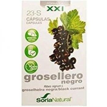 Grosellero Negro 23 S XXI
