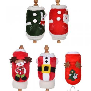 Canin Givre Festif