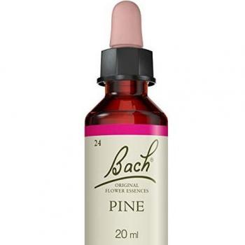 ELIXIRS & CO FLEURS DE BACH ELIXIR PINE NÂ° 24 20ML