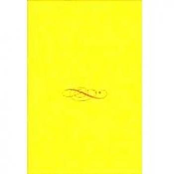 Guia del camino de Santiago a pie