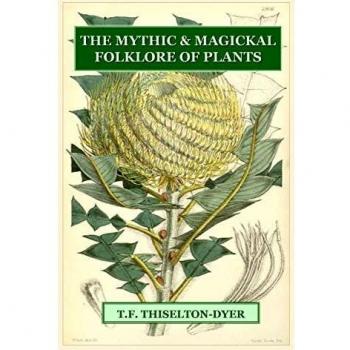 The Mythic & Magickal Folklore Of Plants