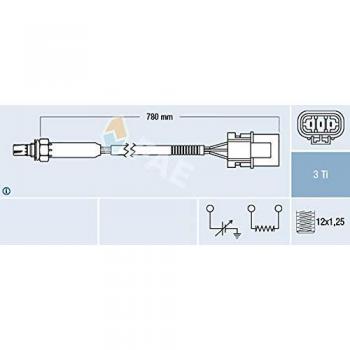 Sonde à Oxygène FAE 77181