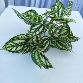 Decoración de hogar con rabanos verdes y batatas de seda