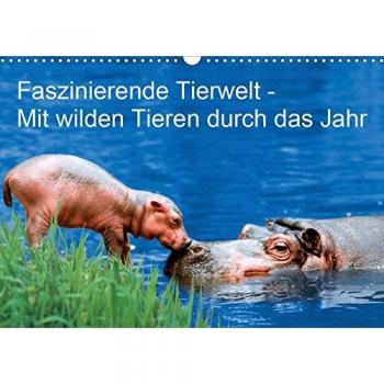 Faszinierende Tierwelt