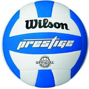 Wilson Volleyball – Premium Indoor Spieler