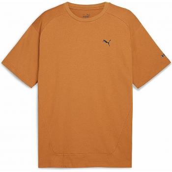 Puma Rad/Cal Herren braun L braun male