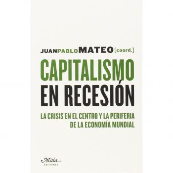 Capitalismo en recesión (Tapa blanda).