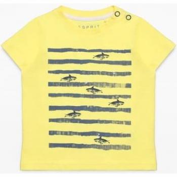 ESPRIT T-Shirt für Kids teal