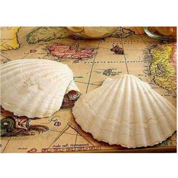 Peinture Strass 5D Coquillage DIY 20x30CM