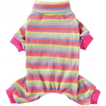 Barboteuse pour Petits Chiens