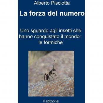 La forza del numero. Uno sguardo agli insetti che hanno conquistato il mondo: le formiche