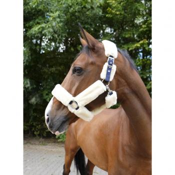 Caballo Collar Equithème Teddy Estilo Navy & Ecru
