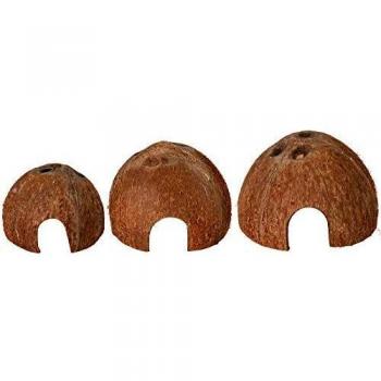 Noce di cocco con ingresso