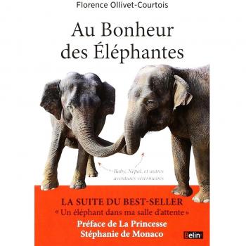 Au Bonheur des Elephantes