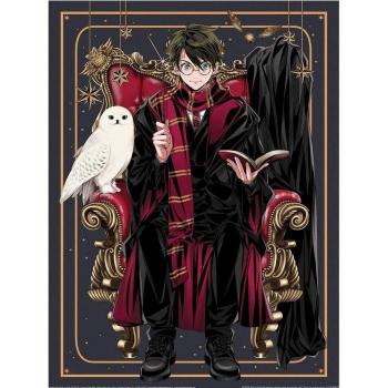 Harry Potter: Wizard Dynasty Chair Poster 40cm x schwarz
