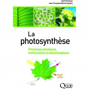 La photosynthèse