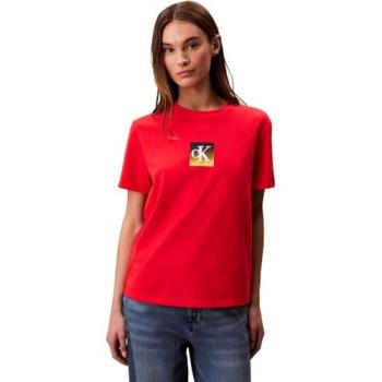 Camiseta Gráfica Clásica Calvin Klein Jeans