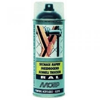 Peinture RAL Acrylique Brillant 3004 Aerosol 400 ml Motip