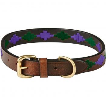 Weatherbeeta Polo Leather Dog Collar