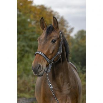 NORTON Stilren Grimma med Grimskaft Taupe/Navy/Silver (Full)