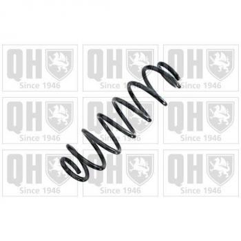 Cuscinetto Ammortizzatore QCS8970 – Quinton Hazell