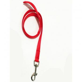 Strong Lead Nylon Dog Leash with Seat Belt Clip
